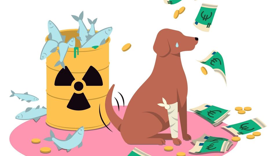 Illustration Hund Illustration Hund