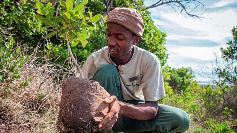 Grootbos Foundation in Süd-Afrika; Green Future - Gardening Green Future - Gardening