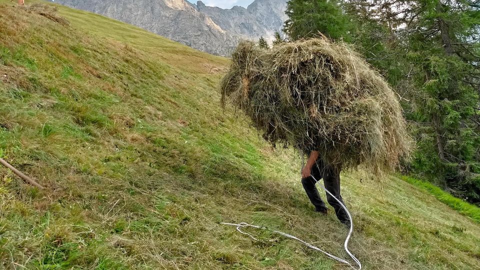 Freiwilligenarbeit: Immer Mehr Menschen Engagieren Sich Im Urlaub ...