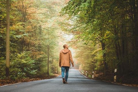 Klimawandel: Unser Wald ist in Not – so müssen wir ihn umbauen, um ihn zu retten