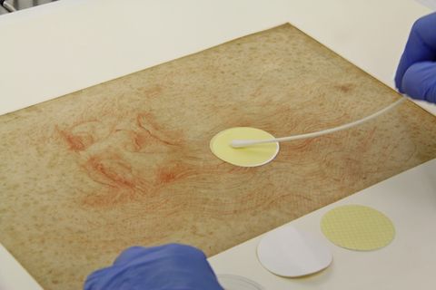 Abstrich auf Leonardo da Vincis "Selbstbildnis" (rote Kreide auf Papier, 1512)
