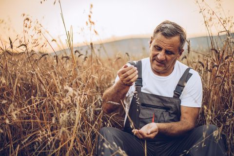 Viele Landwirte blicken zwiegespalten in das neue Jahr