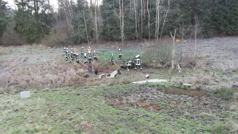 Nachrichten Deutschland Hilders Die Aufnahme zeigt Einsatzkräfte der Feuerwehr während sie Pferde aus einem Schlammloch retten.