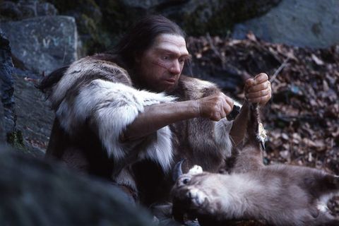 Die Neandertaler konnten keine Wintervorräte anlegen