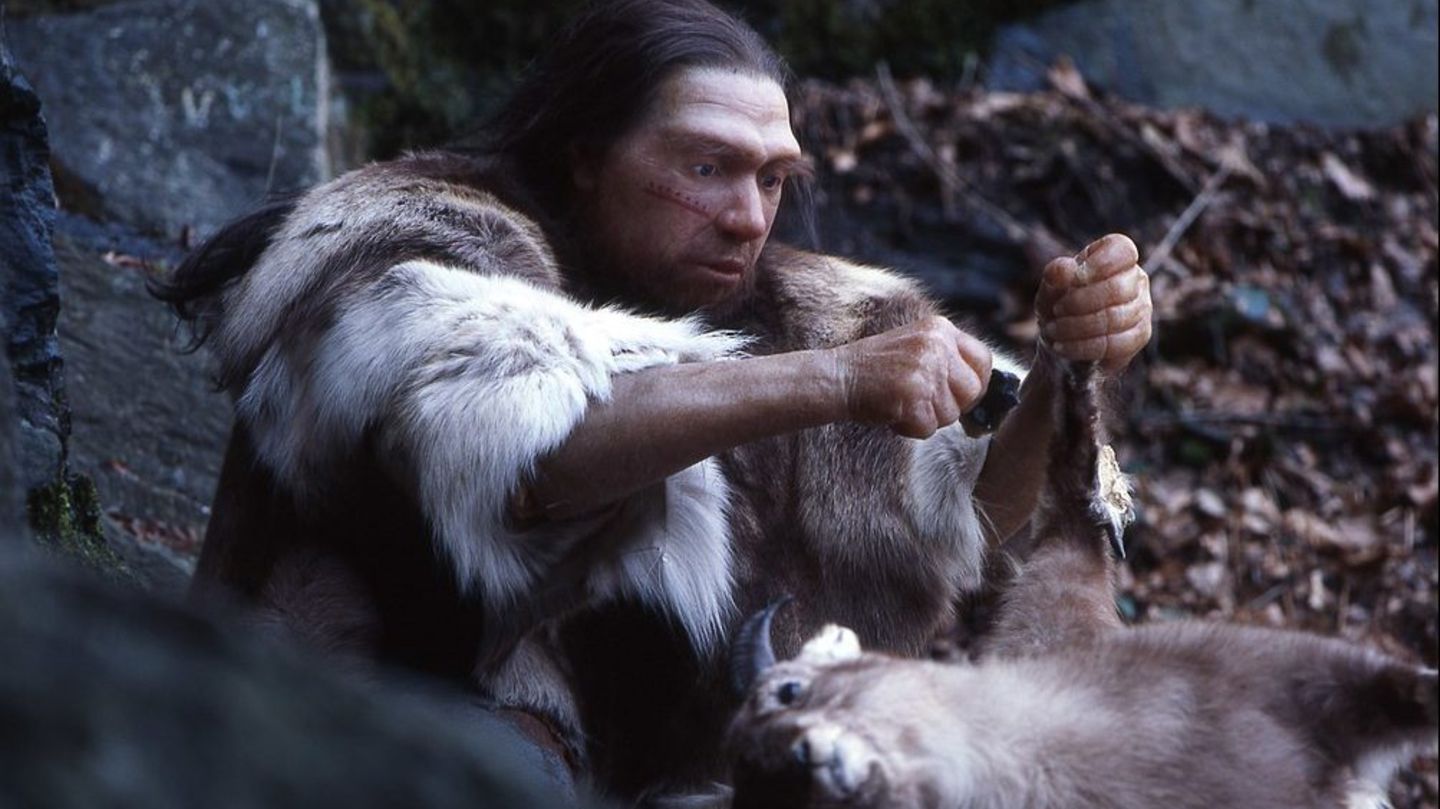 Die Neandertaler konnten keine Wintervorräte anlegen