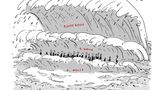 stern-Zeichner: Zwanzigzwanzig in zwanzig Cartoons von Til Mette
