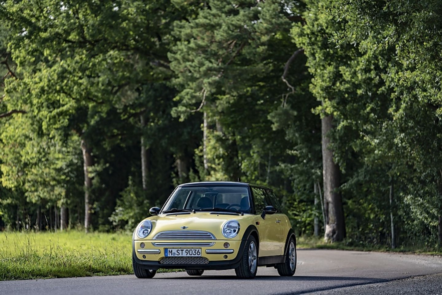 Mini Cooper R50 Jahrgang 2001