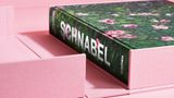 Cover "Julian Schnabel"