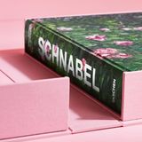 Cover "Julian Schnabel"