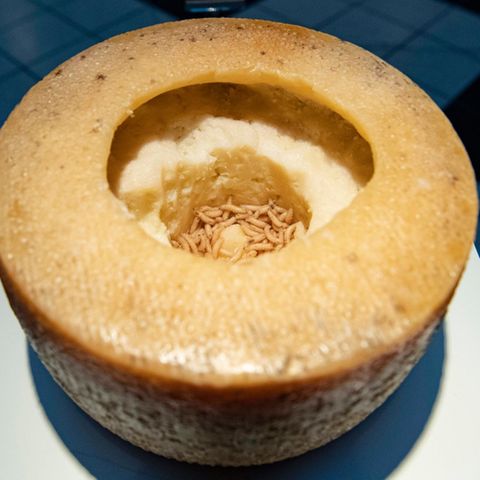 Casu Marzu