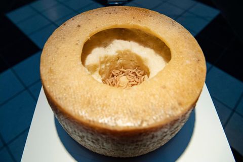 Casu Marzu