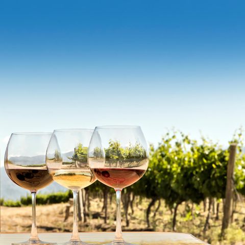 Weingläser vor Weinreben