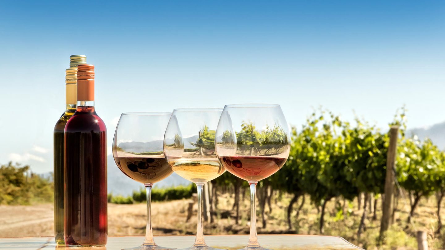 Ökobilanz Wein Weingläser vor Weinreben