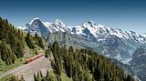 Schynige Platte   Die Schynige Platte liegt im Südosten von Interlaken. Den Namen Schynige Platte (wörtlich: Scheinende Platte) verdankt die Gegend einem Naturphänomen, denn hier gibt es eine Felswand aus Schiefer. Wird der Schiefer zum Beispiel durch Regen nass, reflektiert er das Licht. Die Felswand beginnt zu "scheinen". Aber das ist nicht das einzige Highlight. Auch die Zahnradbahn, die die Schynige Platte herauffährt, ist schon eine Attraktion an sich. Wenn man sich als Tourist die Schweiz vorstellt, dann sicher so: Die hübsche Bahn kraxelt beständig seit 1893 den Berg hinauf und bringt Wanderer und Touristen von Wilderswil hinauf zur Schynige Platte.