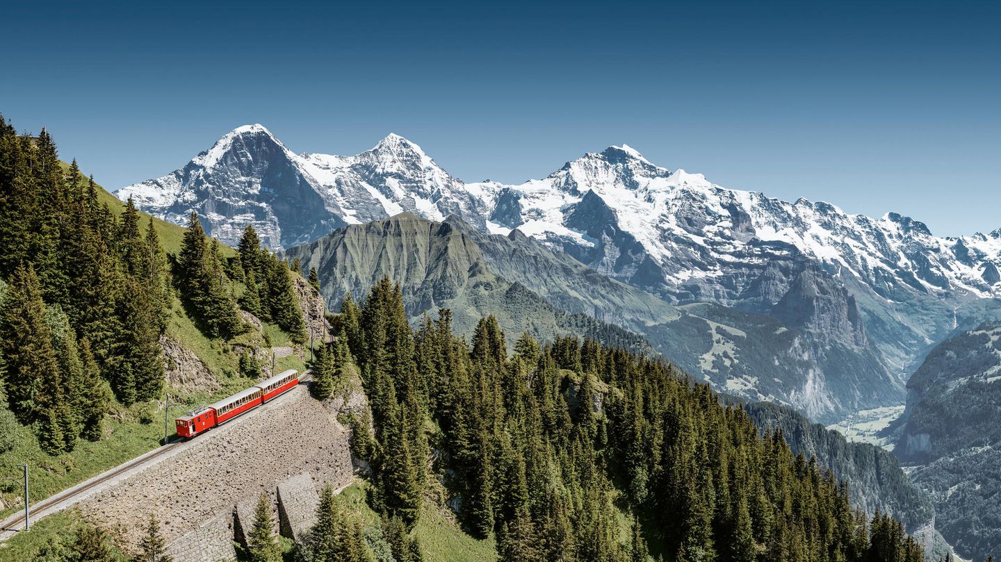 Schynige Platte   Die Schynige Platte liegt im Südosten von Interlaken. Den Namen Schynige Platte (wörtlich: Scheinende Platte) verdankt die Gegend einem Naturphänomen, denn hier gibt es eine Felswand aus Schiefer. Wird der Schiefer zum Beispiel durch Regen nass, reflektiert er das Licht. Die Felswand beginnt zu "scheinen". Aber das ist nicht das einzige Highlight. Auch die Zahnradbahn, die die Schynige Platte herauffährt, ist schon eine Attraktion an sich. Wenn man sich als Tourist die Schweiz vorstellt, dann sicher so: Die hübsche Bahn kraxelt beständig seit 1893 den Berg hinauf und bringt Wanderer und Touristen von Wilderswil hinauf zur Schynige Platte.
