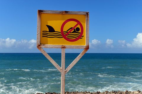 Ein Schild an der Küste verbietetin Mogadischu (Somalia) das Schwimmen im Meer