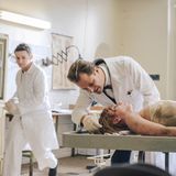 Als Gerichtsmediziner unterstützt Prof. Otto Prokop (Philipp Hochmair) die Polizei bei der Aufklärung von Verbrechen. Und schon bald liegen die ersten Mauertoten auf seinem Tisch. Prokop erweist sich aber in medizinischen Fragen als unbestechlich.