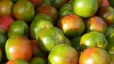 Sind grüne Tomaten ungesund?
