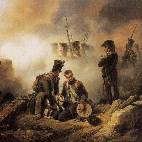 Der Hund des Regiments verwundet - zeitgenössisches Gemälde von Emile Jean Horace Vernet
