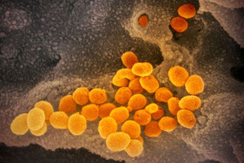 Coronavirus Großbritannien