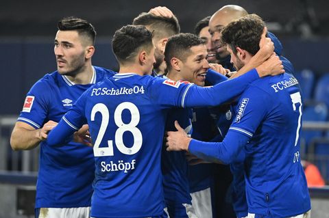 Pure Erleichterung: Die Schalker Profis jubeln über den Sieg gegen Hoffenheim