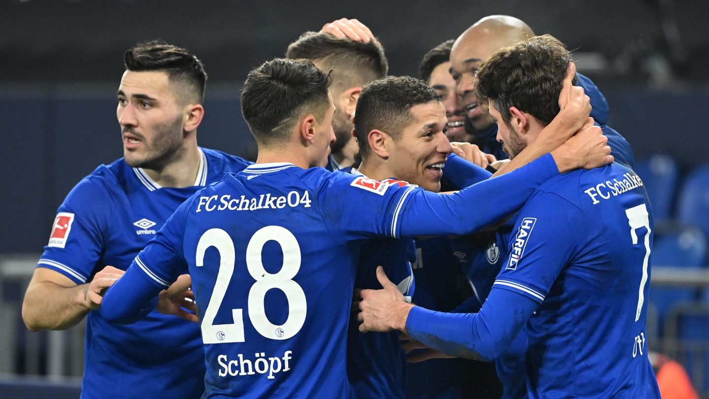 Pure Erleichterung: Die Schalker Profis jubeln über den Sieg gegen Hoffenheim