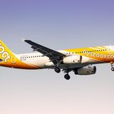 Platz 3: Scoot  Um zwei Plätze verbessern konnte sich der 2003 gegründete Billigflieger aus Singapur. Der Durchschnittsalter der Flotte, bestehend aus Airbus 320 für die Kurz- und Mittelstrecke und Boeing 787 für die Langstrecke, betragt nur 5,7 Jahre.