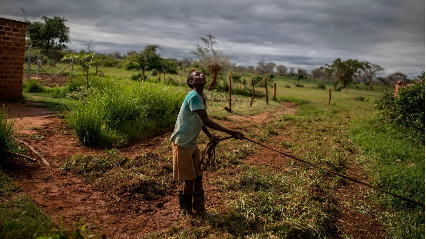 Hunger, Armut und Gewalt: Platz 10: Sambia Sambia gehört zu den Ländern, die die Hauptlast der globalen Klimakrise tragen: 10,1 Millionen Menschen sind auf humanitäre Hilfe angewiesen. Die Temperaturen sind seit 1960 um etwa 1,3 Grad Celsius gestiegen, während die jährliche Niederschlagsmenge um durchschnittlich 2,3 Prozent pro Jahrzehnt zurückgegangen ist. Dazu kommen aufeinanderfolgende Dürreperioden, Heuschreckenplagen und Überschwemmungen. Die Folgen dessen sind besonders verheerend für den Agrarsektor und die Lebensmittelversorgung im Land: Im Juli 2020 benötigten 2,6 Millionen Menschen in Sambia dringend Nahrungsmittelhilfe. Platz 10: Sambia Sambia gehört zu den Ländern, die die Hauptlast der globalen Klimakrise tragen: 10,1 Millionen Menschen sind auf humanitäre Hilfe angewiesen. Die Temperaturen sind seit 1960 um etwa 1,3 Grad Celsius gestiegen, während die jährliche Niederschlagsmenge um durchschnittlich 2,3 Prozent pro Jahrzehnt zurückgegangen ist. Dazu kommen aufeinanderfolgende Dürreperioden, Heuschreckenplagen und Überschwemmungen. Die Folgen dessen sind besonders verheerend für den Agrarsektor und die Lebensmittelversorgung im Land: Im Juli 2020 benötigten 2,6 Millionen Menschen in Sambia dringend Nahrungsmittelhilfe.