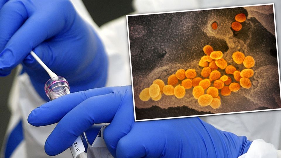 Südafrikanische Coronavirus-Mutation erstmals in Deutschland entdeckt (Video)