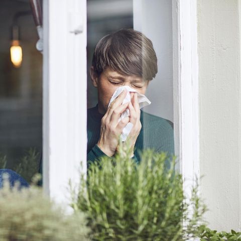 Frau putzt sich die Nase am Fenster